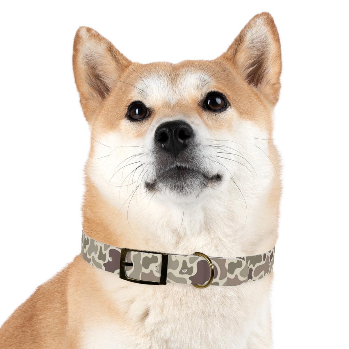 Neutral Camo Dog Collar — Durable Outdoor Collar for Dogs